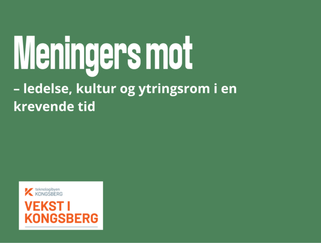 Fagseminar Meningers mot